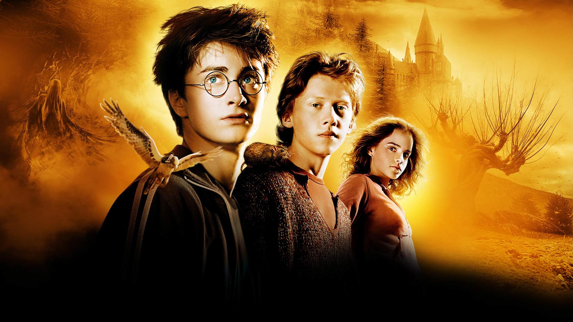 بازیگر جدید سریال Harry Potter معرفی شد